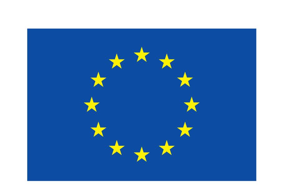 DE V Kofinanziert von der Europäischen Union_POS