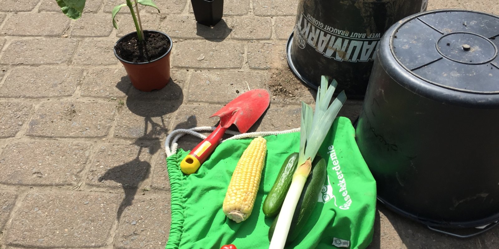 kja-koeln.de | Garten